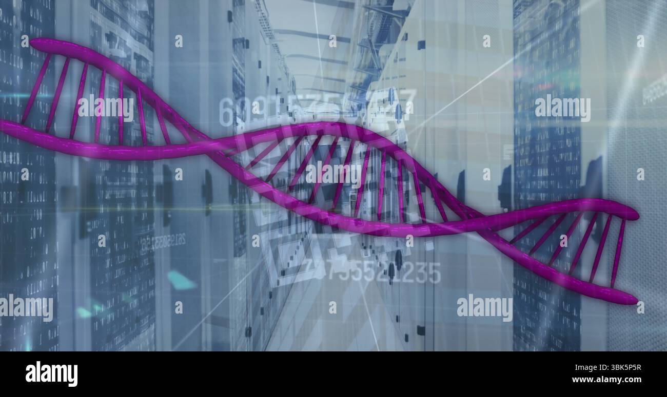 Floating purple DNA helix crossing server room, with server racks and numeric interface lines Stock Photo