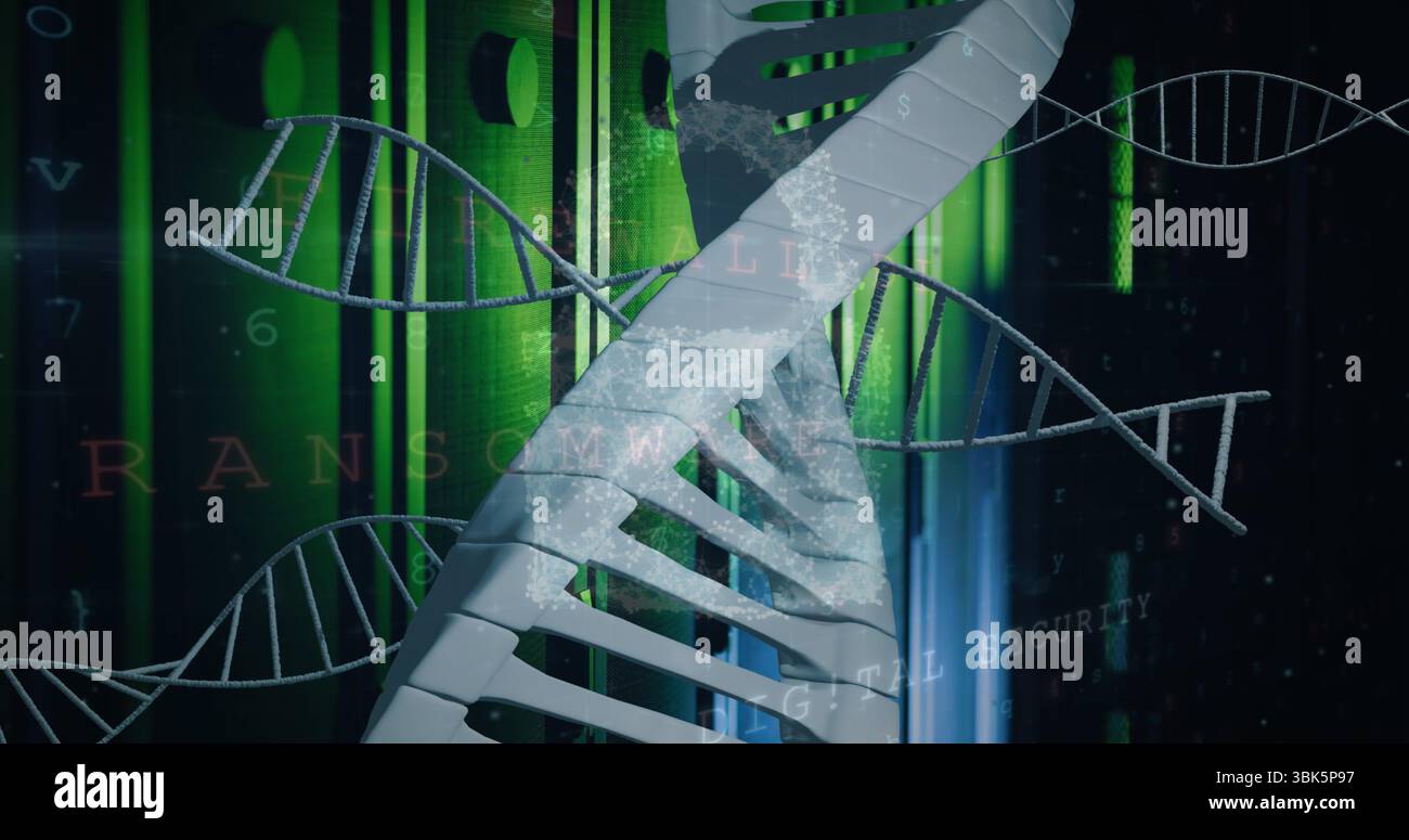 Showing DNA helix twisting in code grid with wireframes, spark effects, ransomware digital security Stock Photo