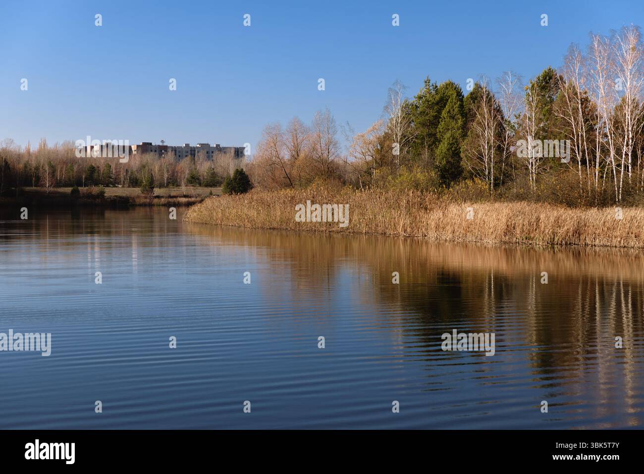 Heartshape Lake in the swamps angle shot Stock Photo