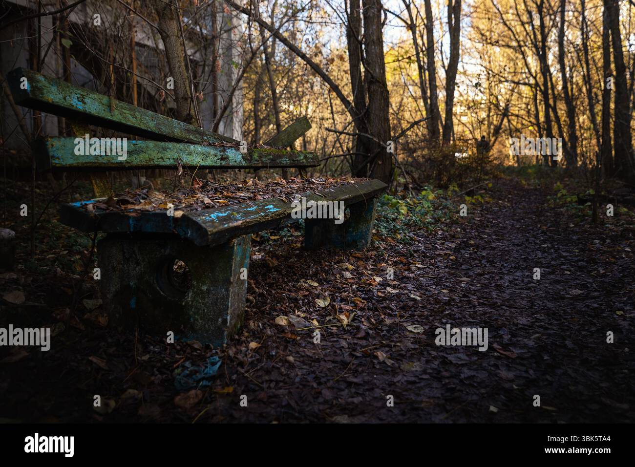 Old destroyed bench next to path angle shot Stock Photo - Alamy