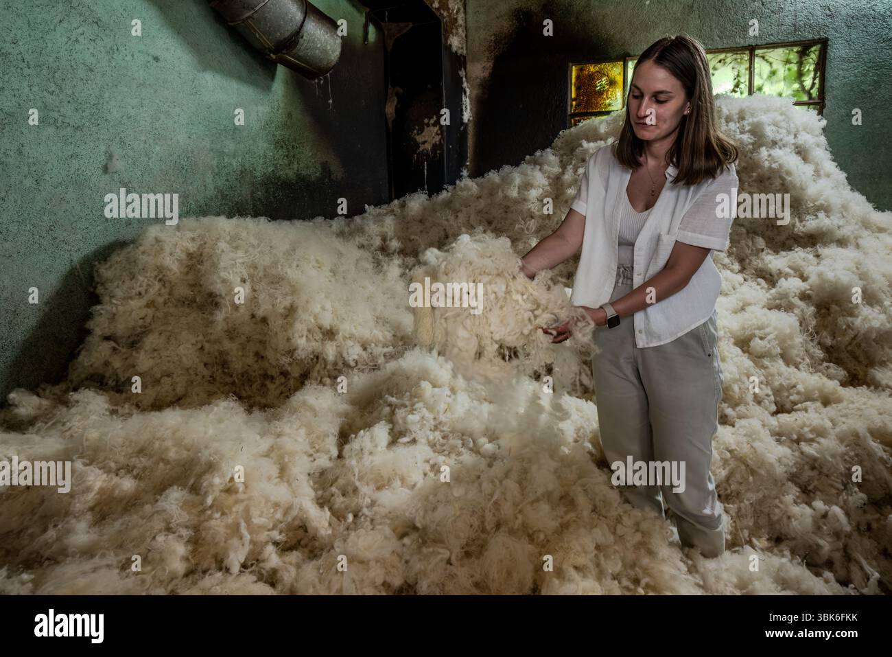 Tiffany Terrade, managing director of the Terrade spinning mill, surrounded by raw wool. The wool is first cleaned and carded, often with sorted raw wool from different sources (Rava, Bizet, Limousine, Solognote, Alpaca, Yak). Rue de la Papeterie, Felletin, Nouvelle-Aquitaine, France Stock Photo