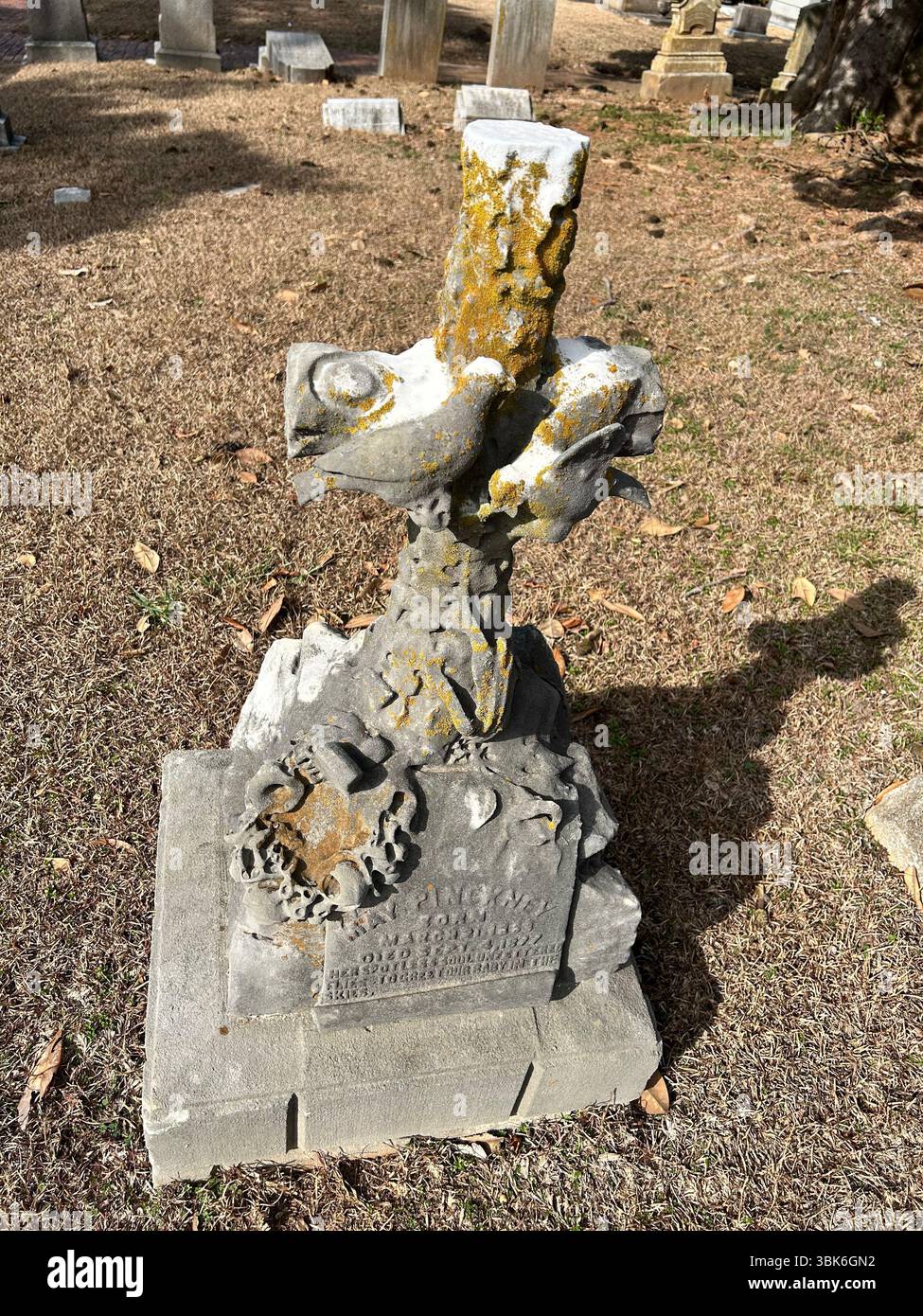 Oakland Cemetery - Smartphone Captured Stock Image