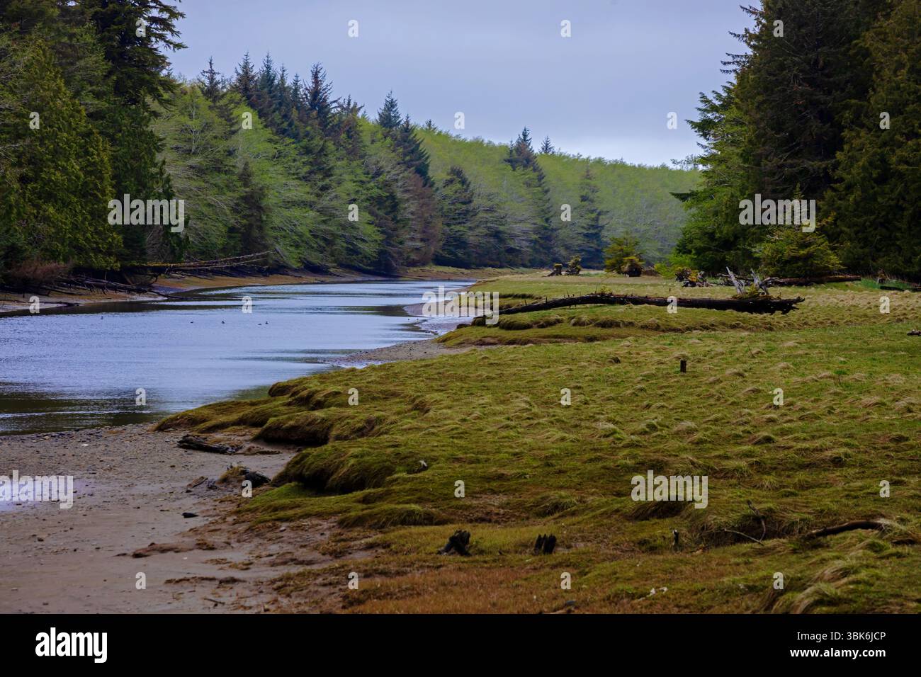 A river near Masset  in Haida Gwaiii Island - British Columbia, Canada Stock Photo