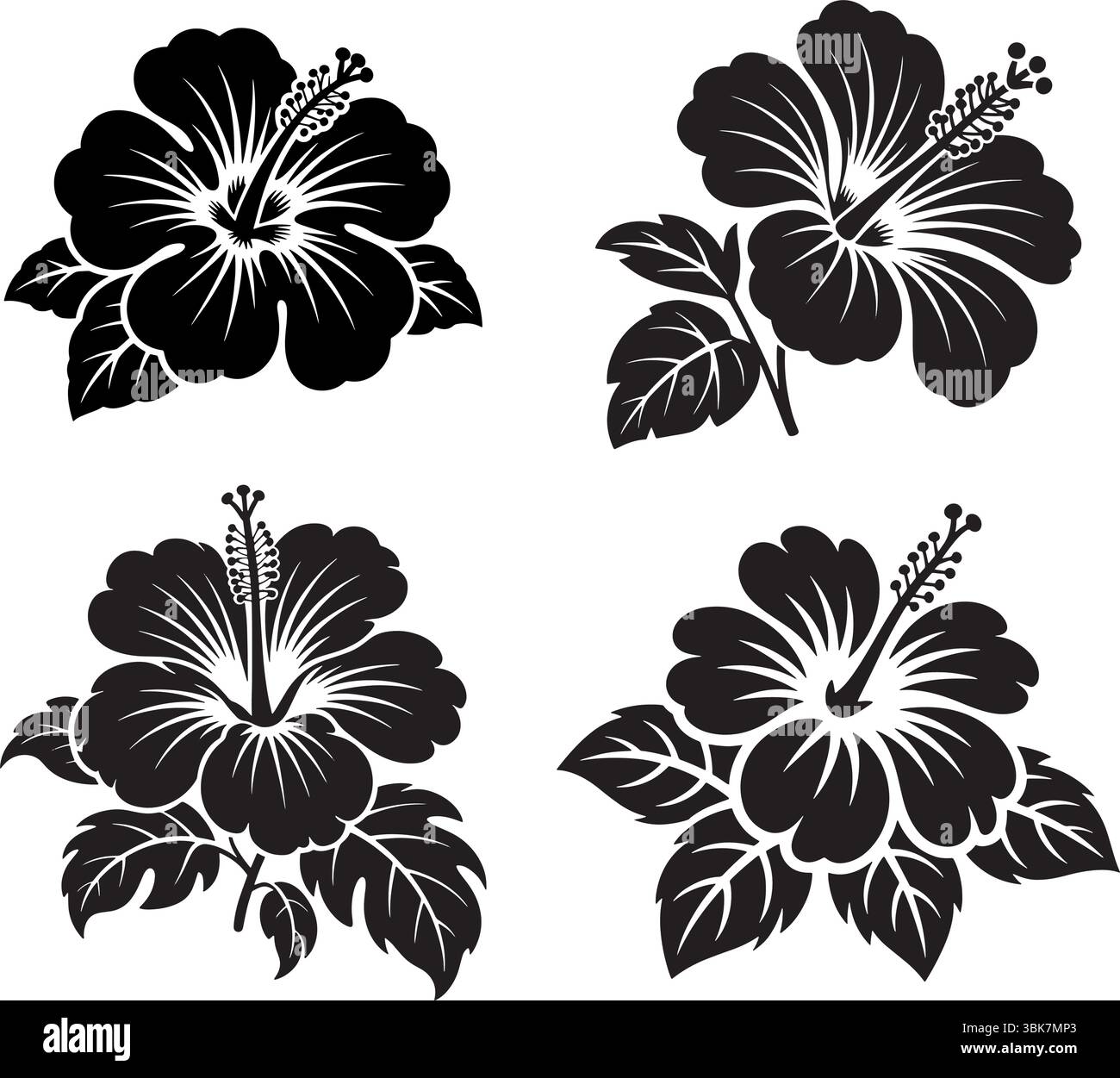 Minimalist hibiscus flower vector illustration Stock Vector