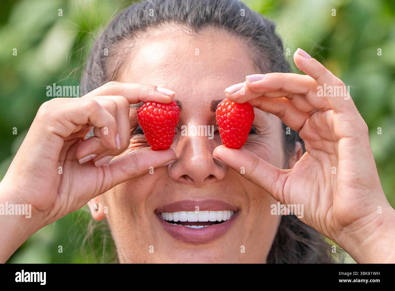 EDITORIAL USE ONLY New season British raspberries are picked at Hall ...