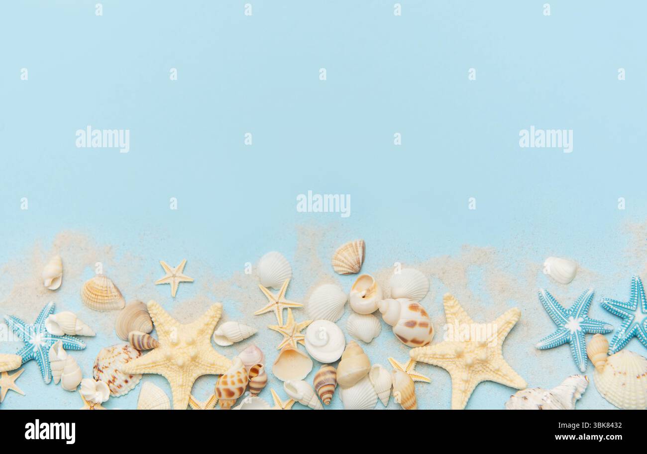 Starfish and seashells scattered on a blue sandy surface Stock Photo