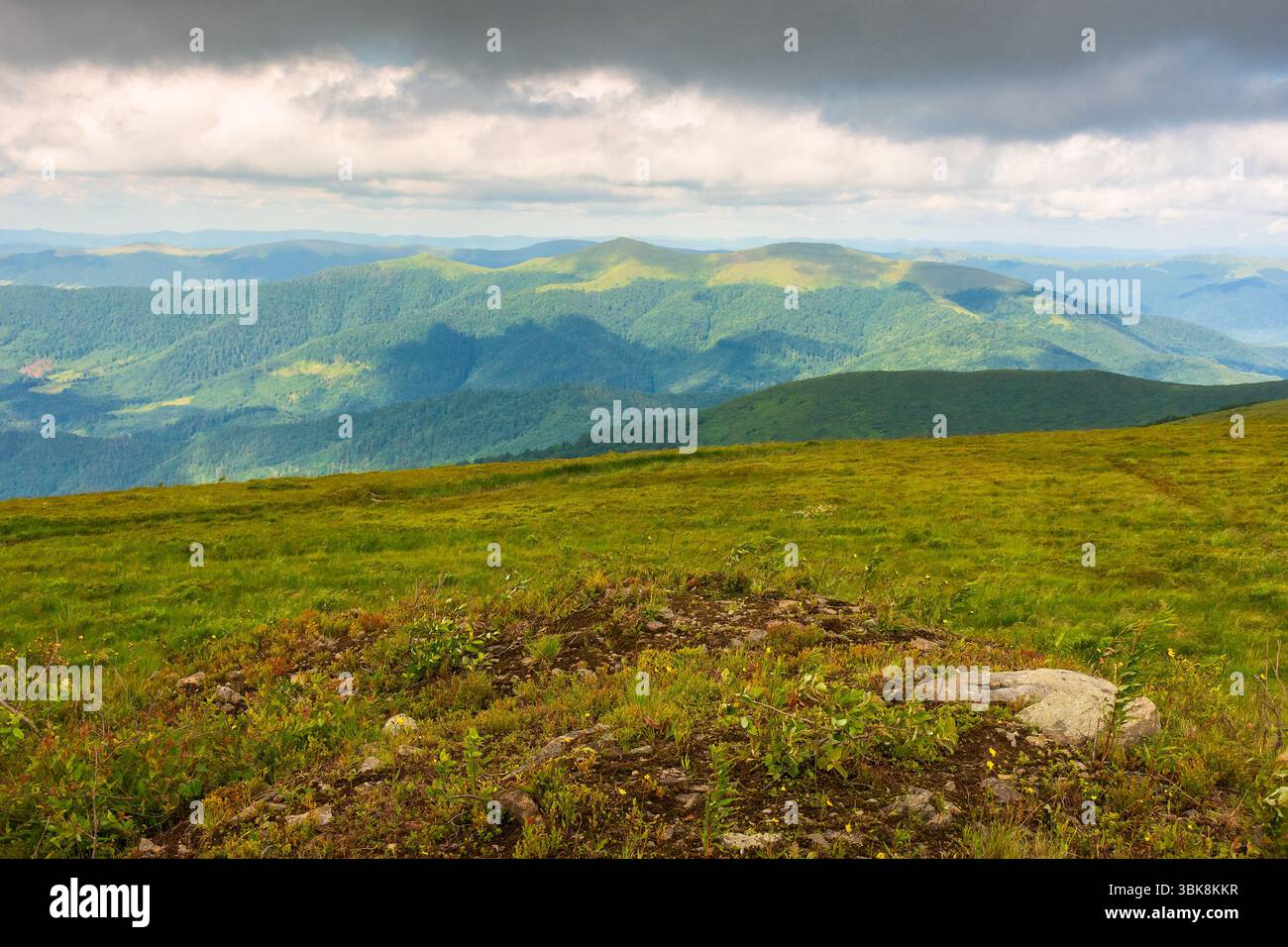 summer landscape with mountain range in cold weather. beautiful green environment of ukrainian highland before the rain. alpine scenery under cloudy s Stock Photo