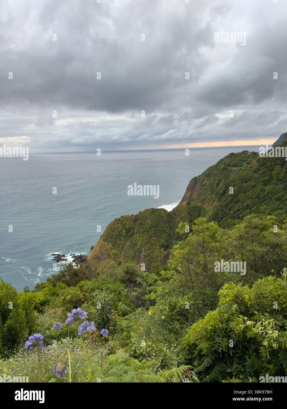 Picturesque green coast of Madeira Island in Portugal, with an amazing view of the rocky coastline and ocean waves. Travel concept - Smartphone Captured Stock Image