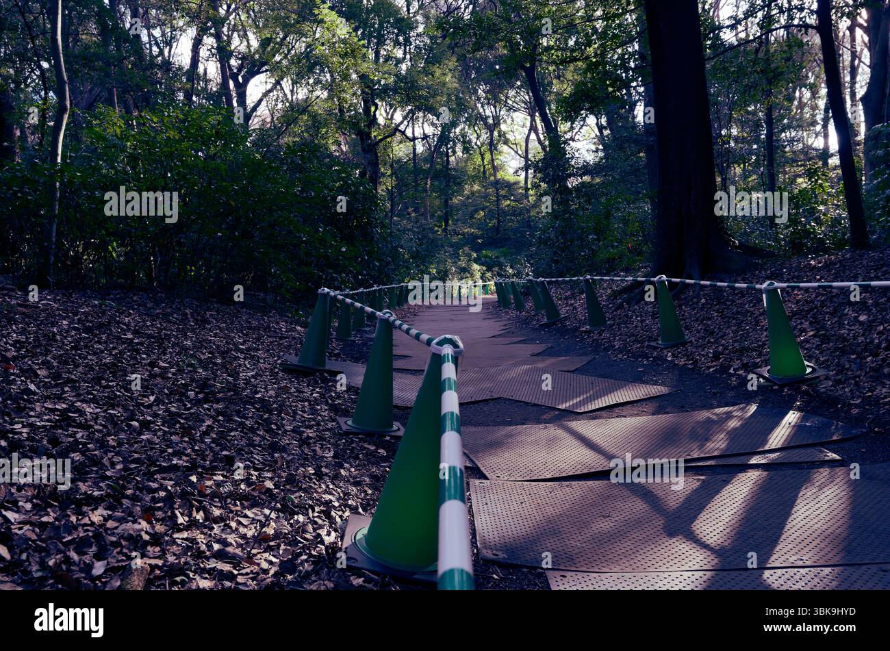 Temporary path winds through Yoyogi Park, bordered by green cones and ...