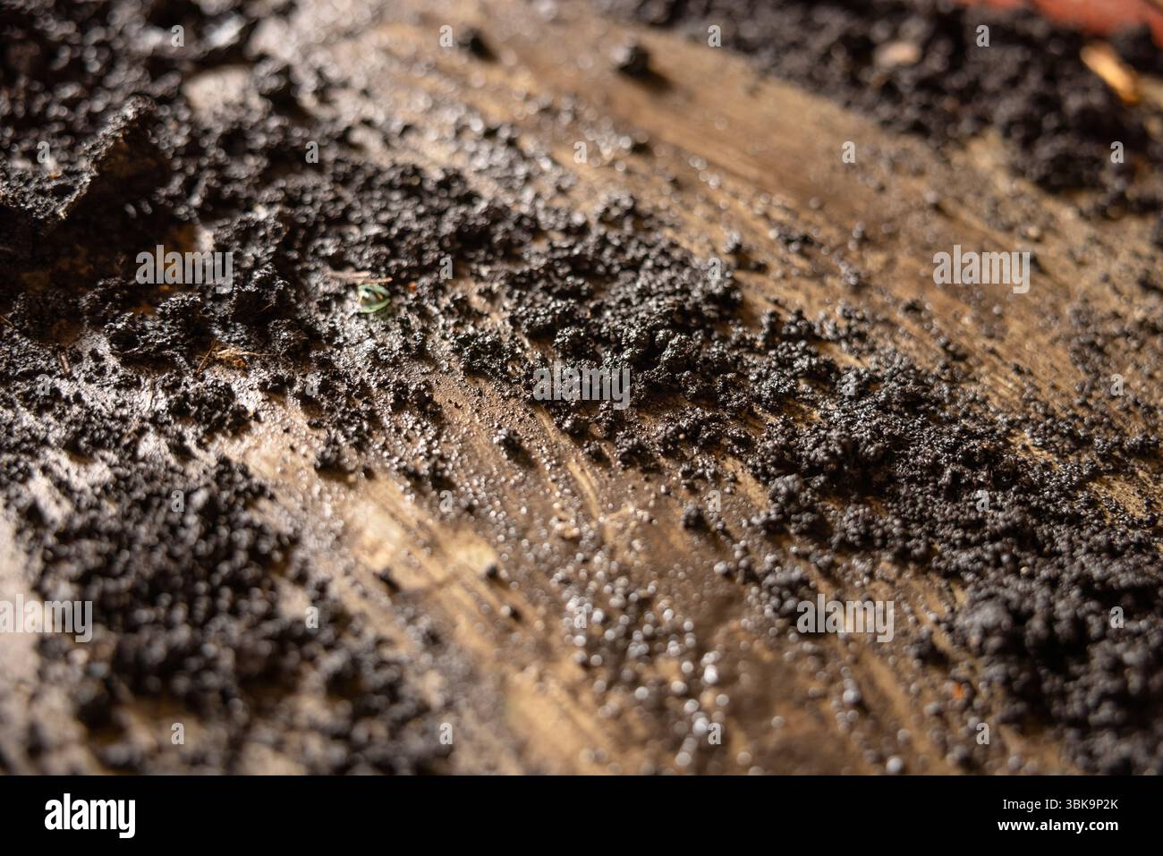 Soil wet hi-res stock photography and images - Alamy