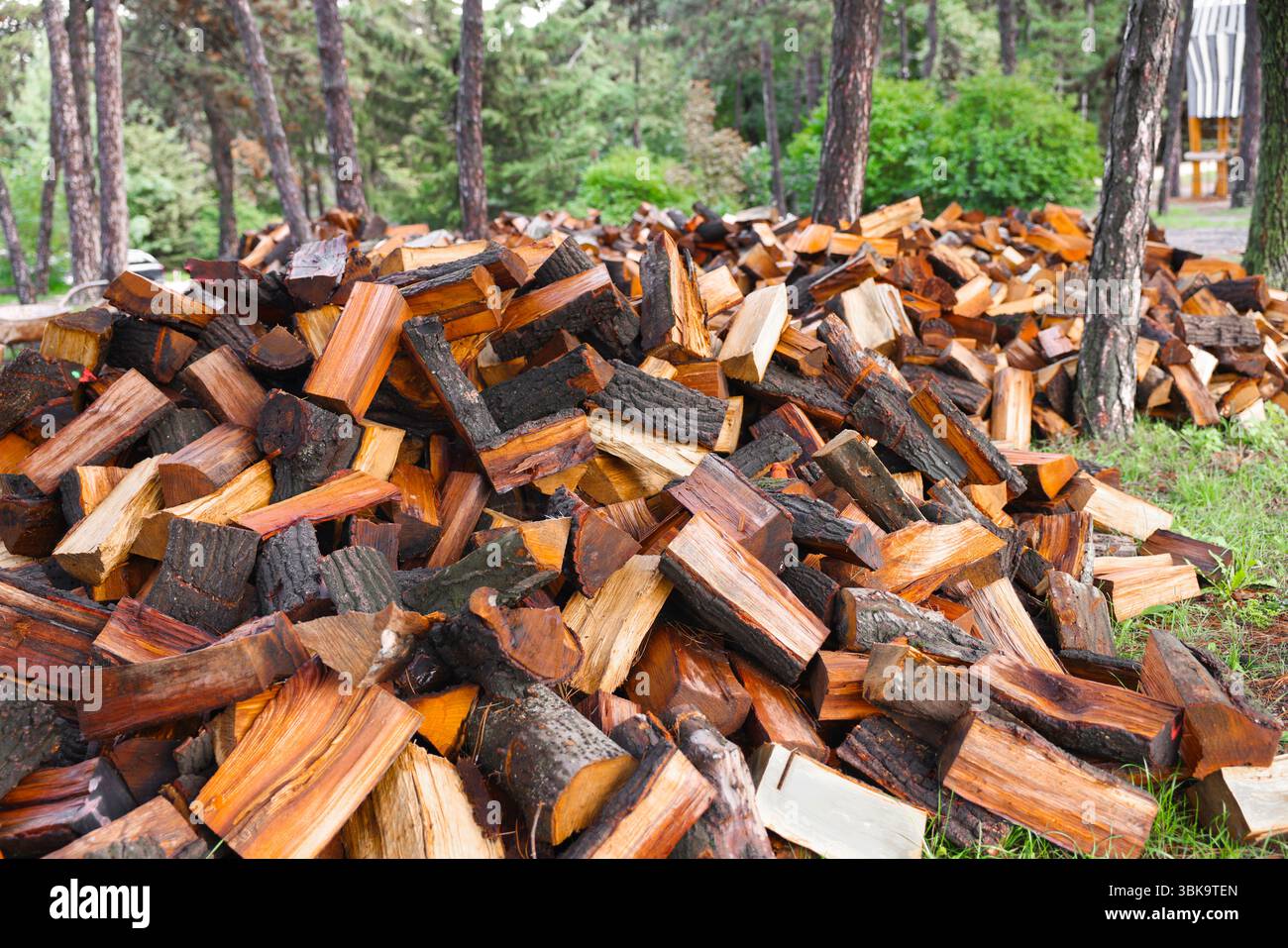 Large pile of firewood ready to be burnt closeup Stock Photo