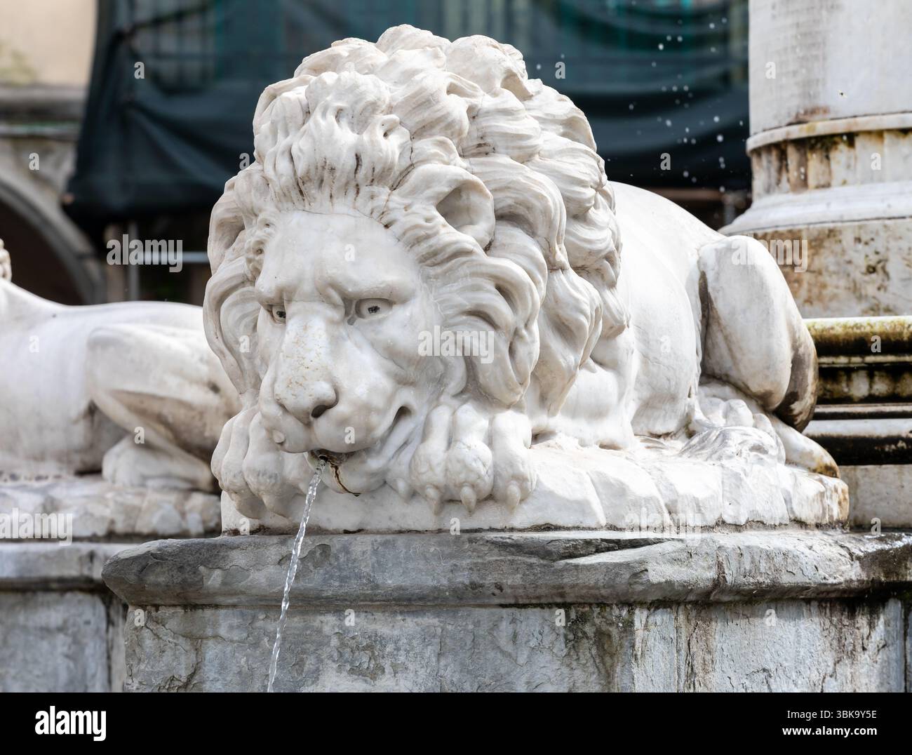 Close Up Of A White Marble Lion Statue Part Of A Fountain In Empoli close-up-of-a-white-marble-lion-statue-part-of-a-fountain-in-empoli
