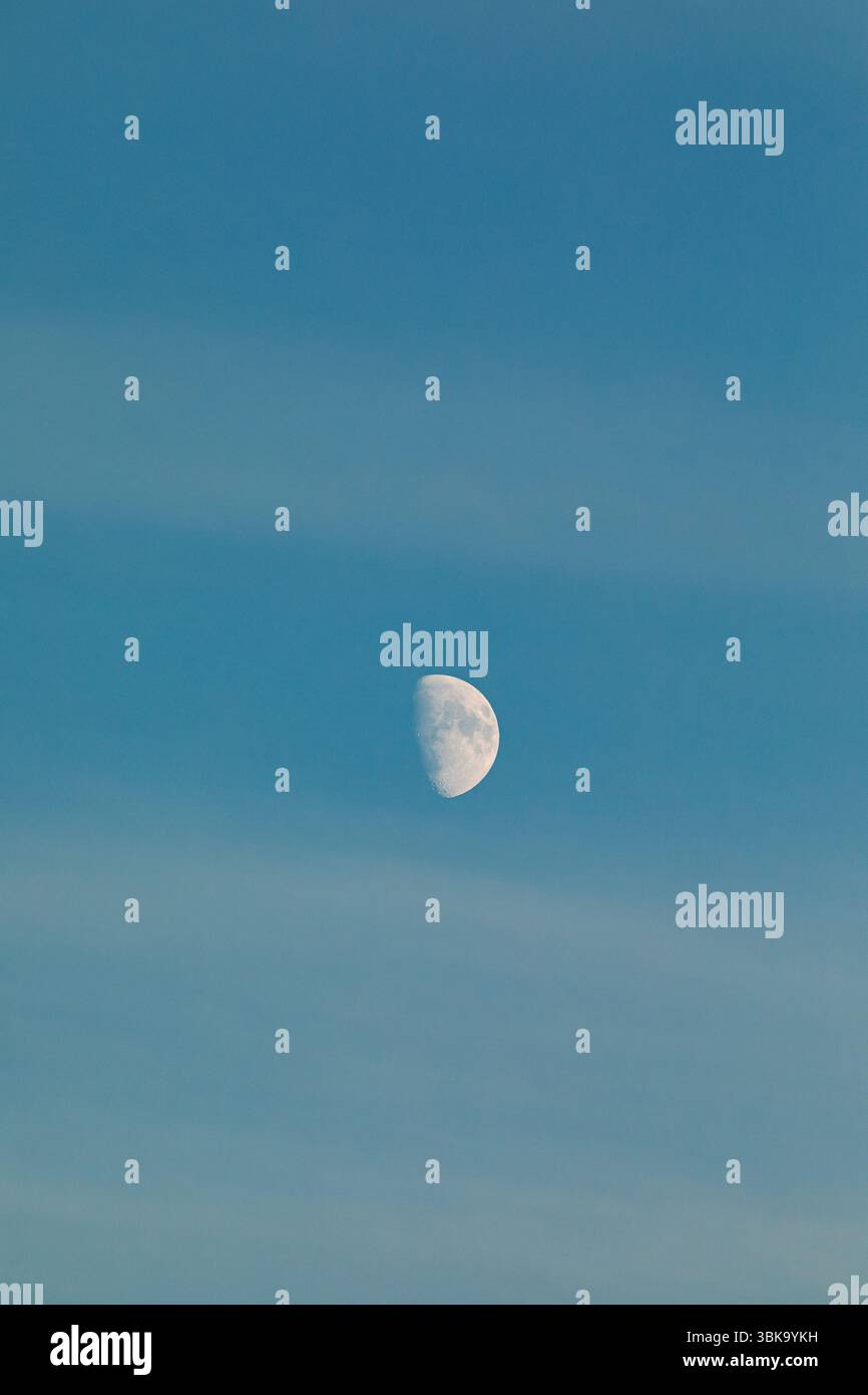 Half Moon in Clear Blue Sky – Daytime Lunar Phase Stock Photo