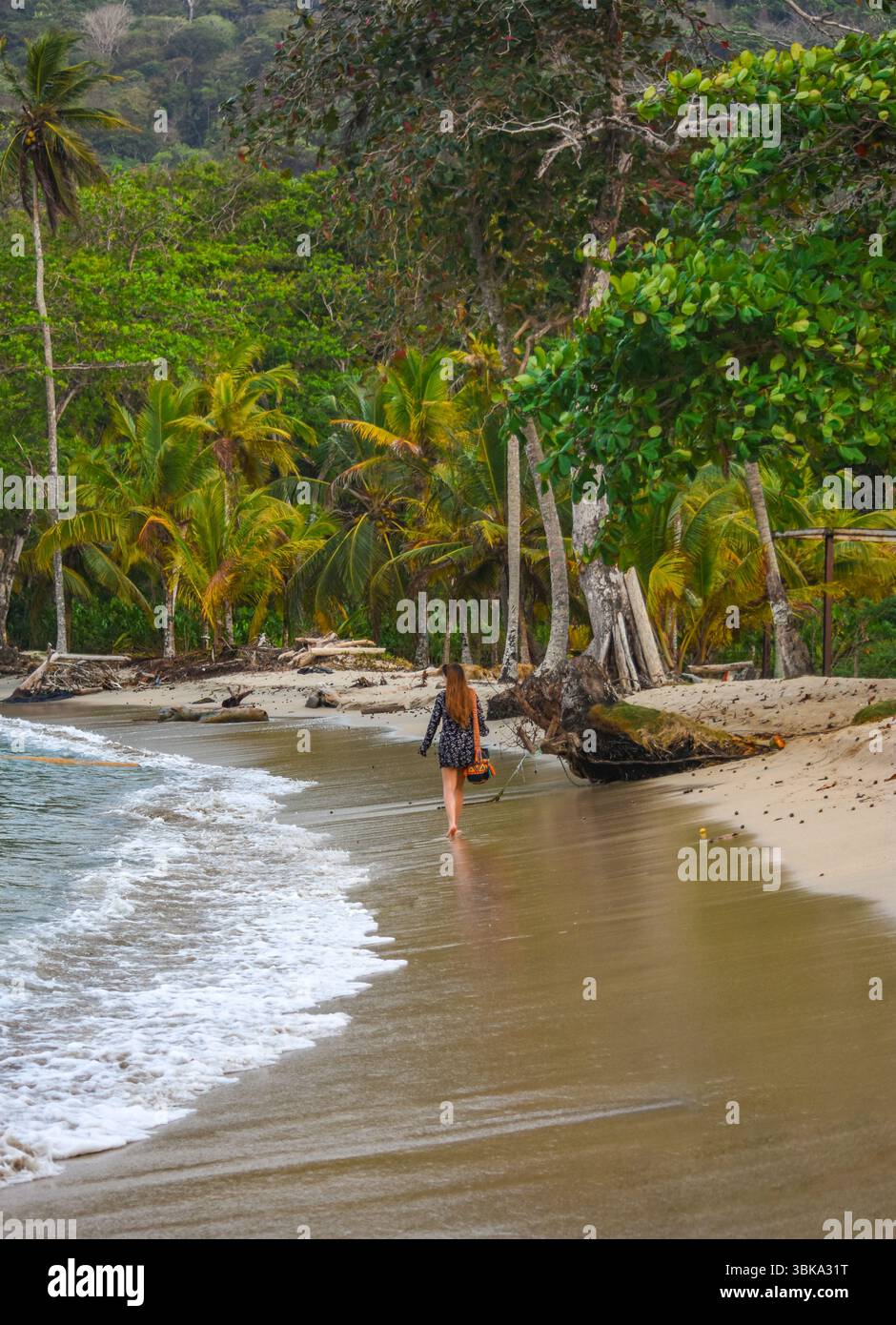 Choco colombia hi-res stock photography and images - Page 3 - Alamy