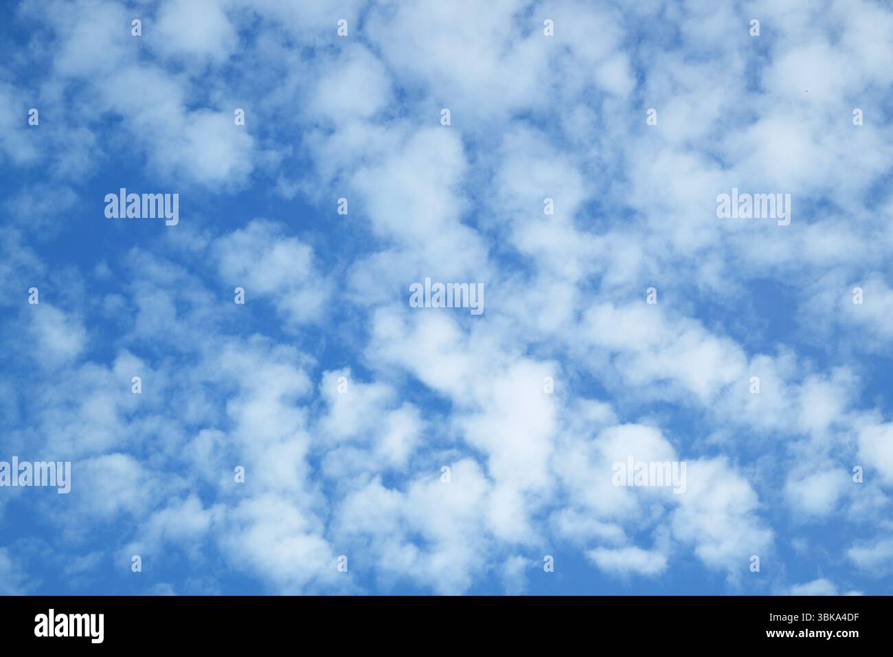Impressive White Fluffy Clouds Scattered across Blue Sky Stock Photo
