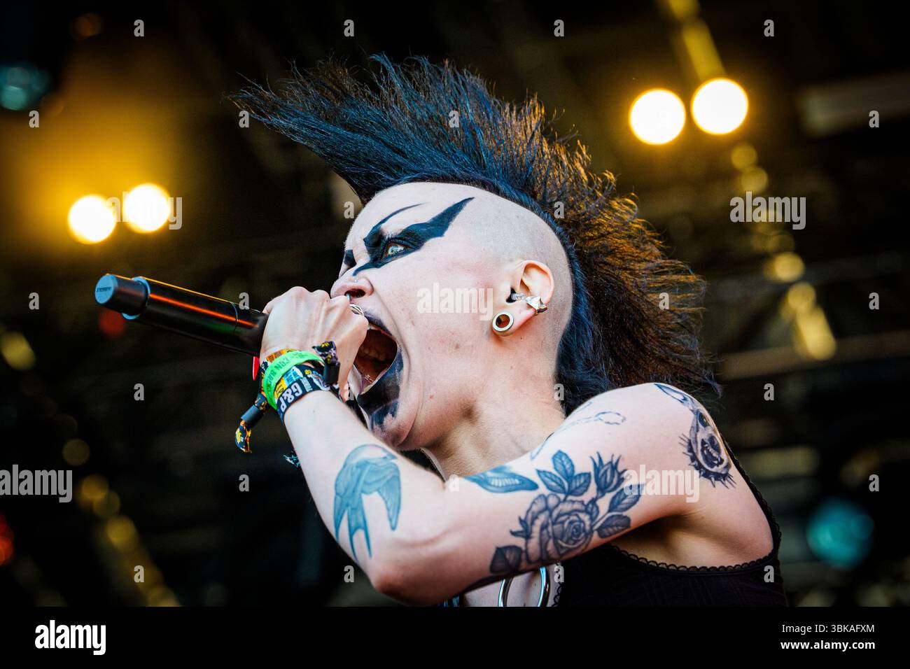 Vulvatorious band hi-res stock photography and images - Alamy