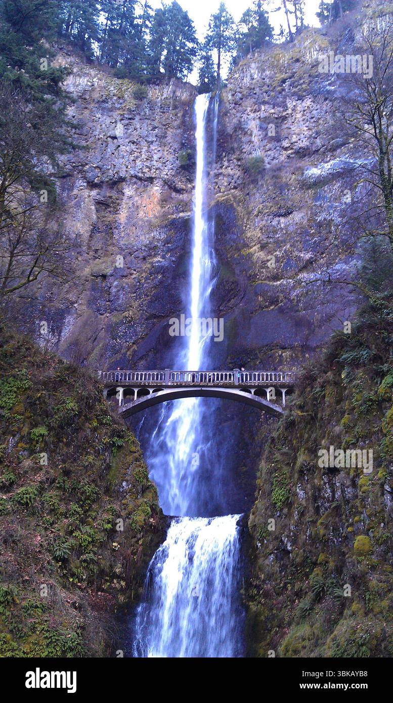Multnomah Falls cascades down mossy cliffs beneath Benson Bridge in the ...