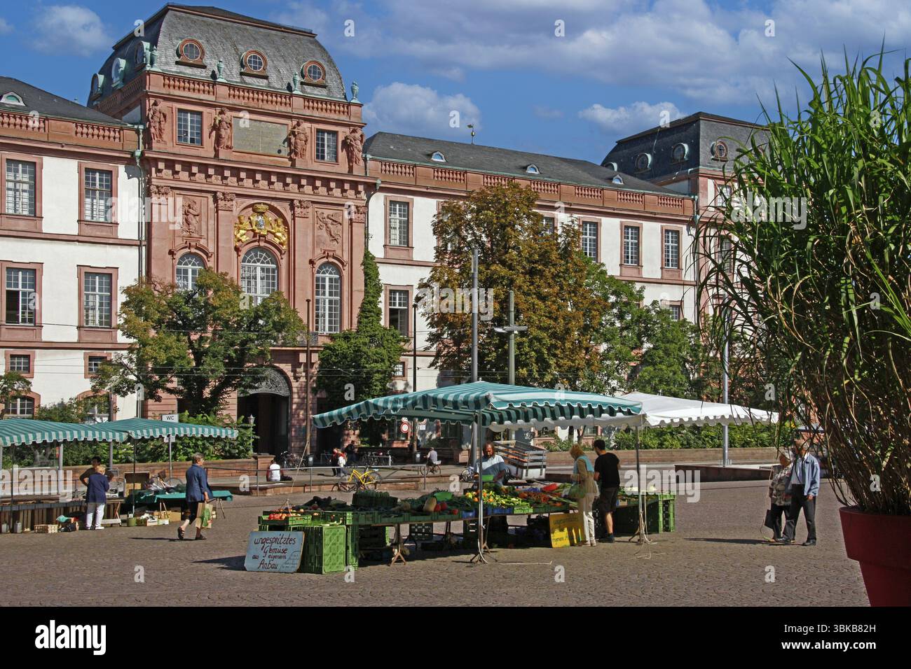 Market stalls on the market square in front of the castle, Darmstadt, Hesse Stock Photo