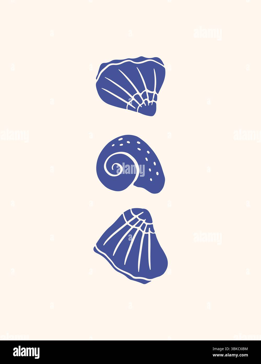 Hand drawn seashells poster Stock Vector Image & Art - Alamy