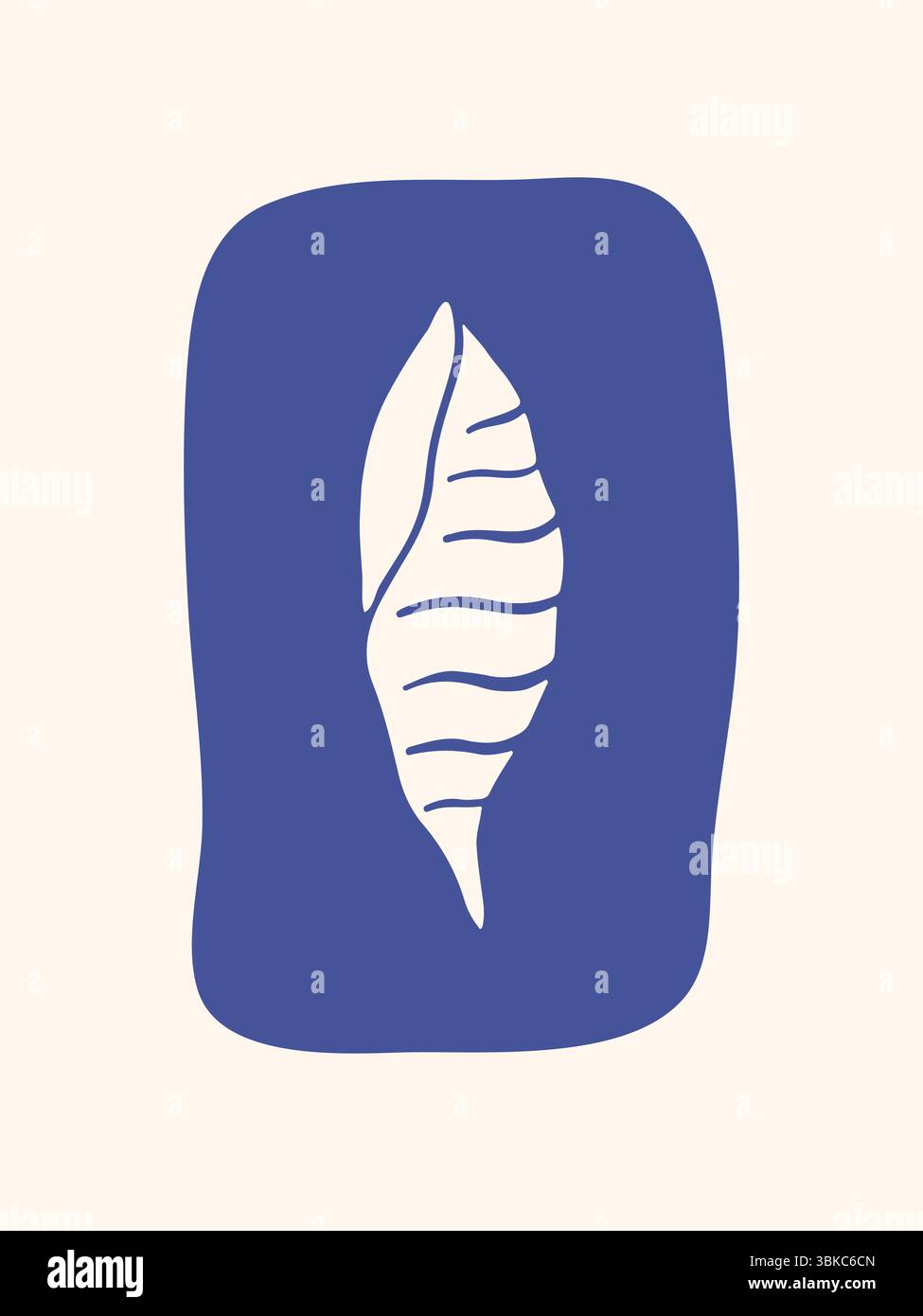 Hand drawn whimsical seashell poster Stock Vector Image & Art - Alamy