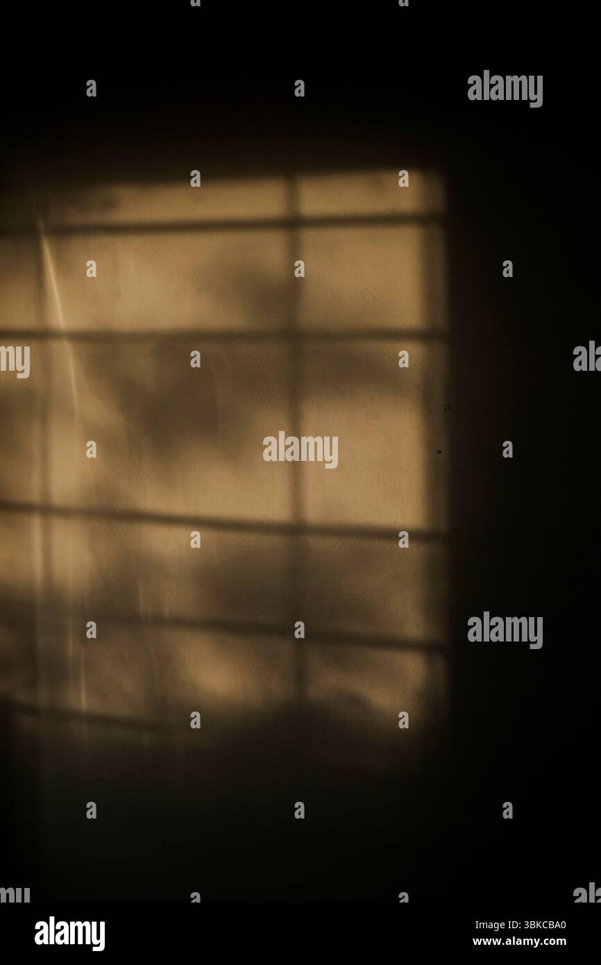 Shadow of window on the empty wall Stock Photo