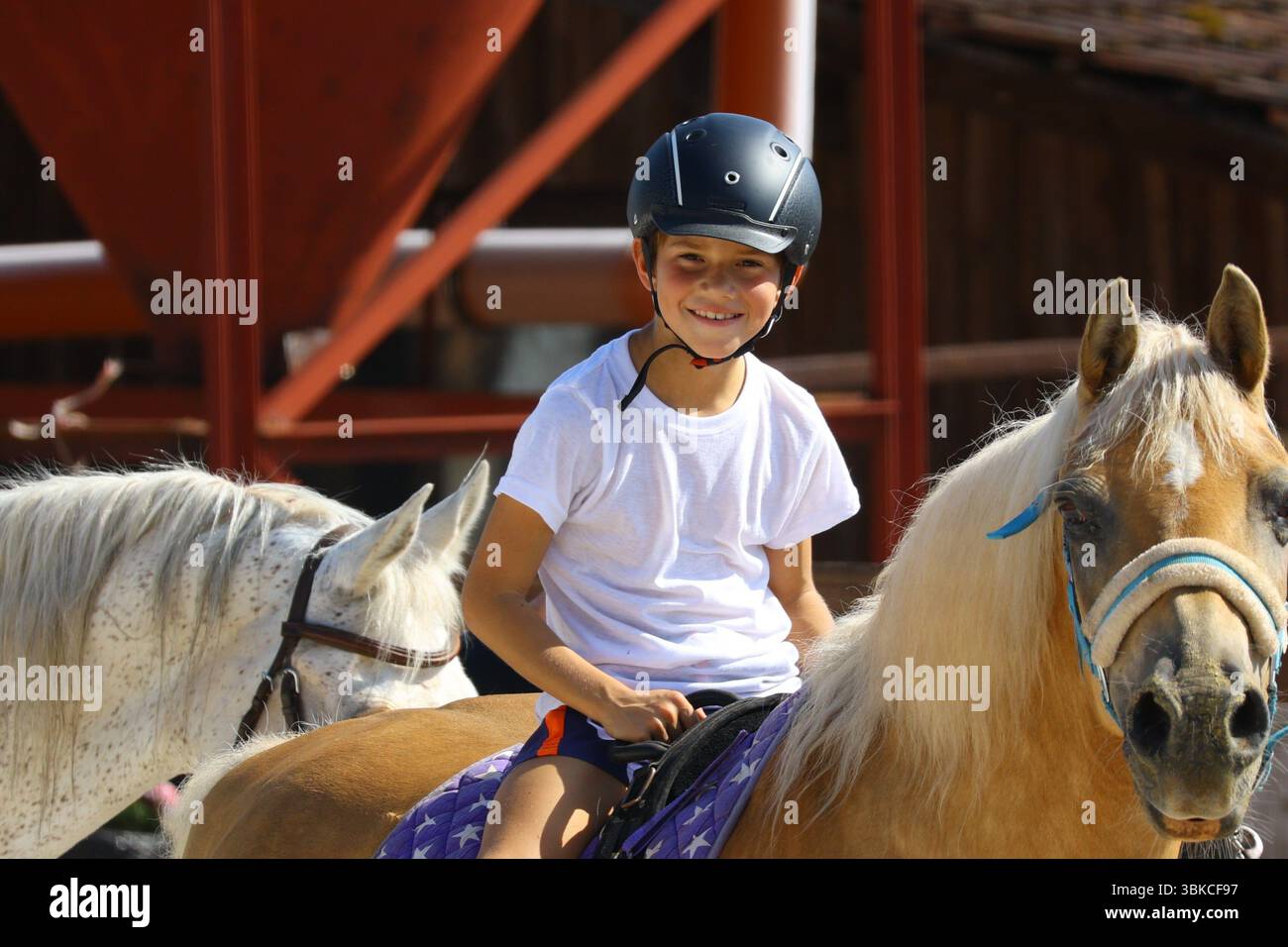Smiling boy riding a pony at summer horse camp Stock Photo