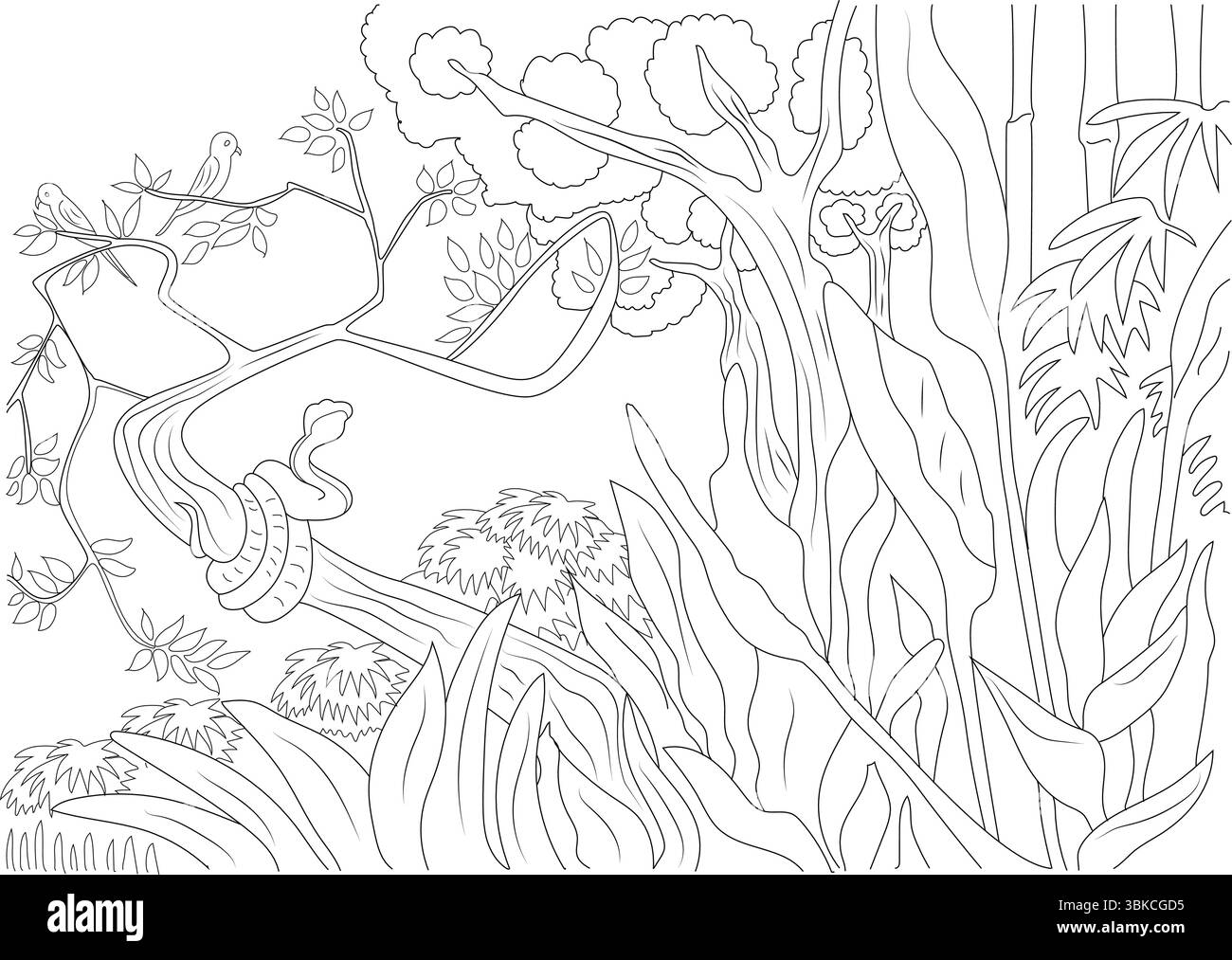 Two snake plants Stock Vector Images - Alamy