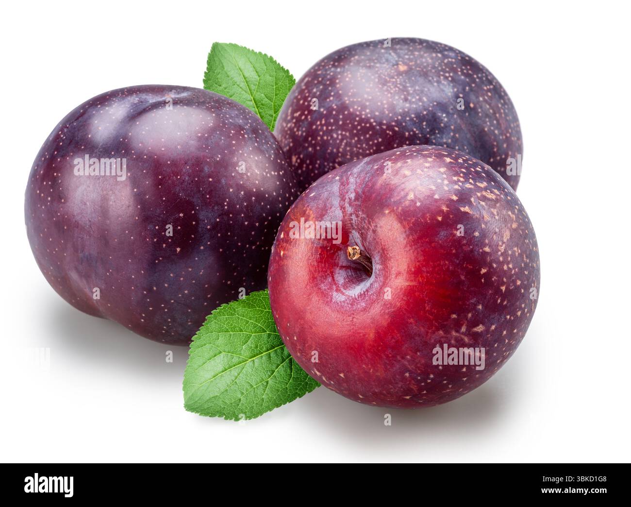 Ripe chinese plums with green leaf isolated on white background. File contains clipping paths. Stock Photo