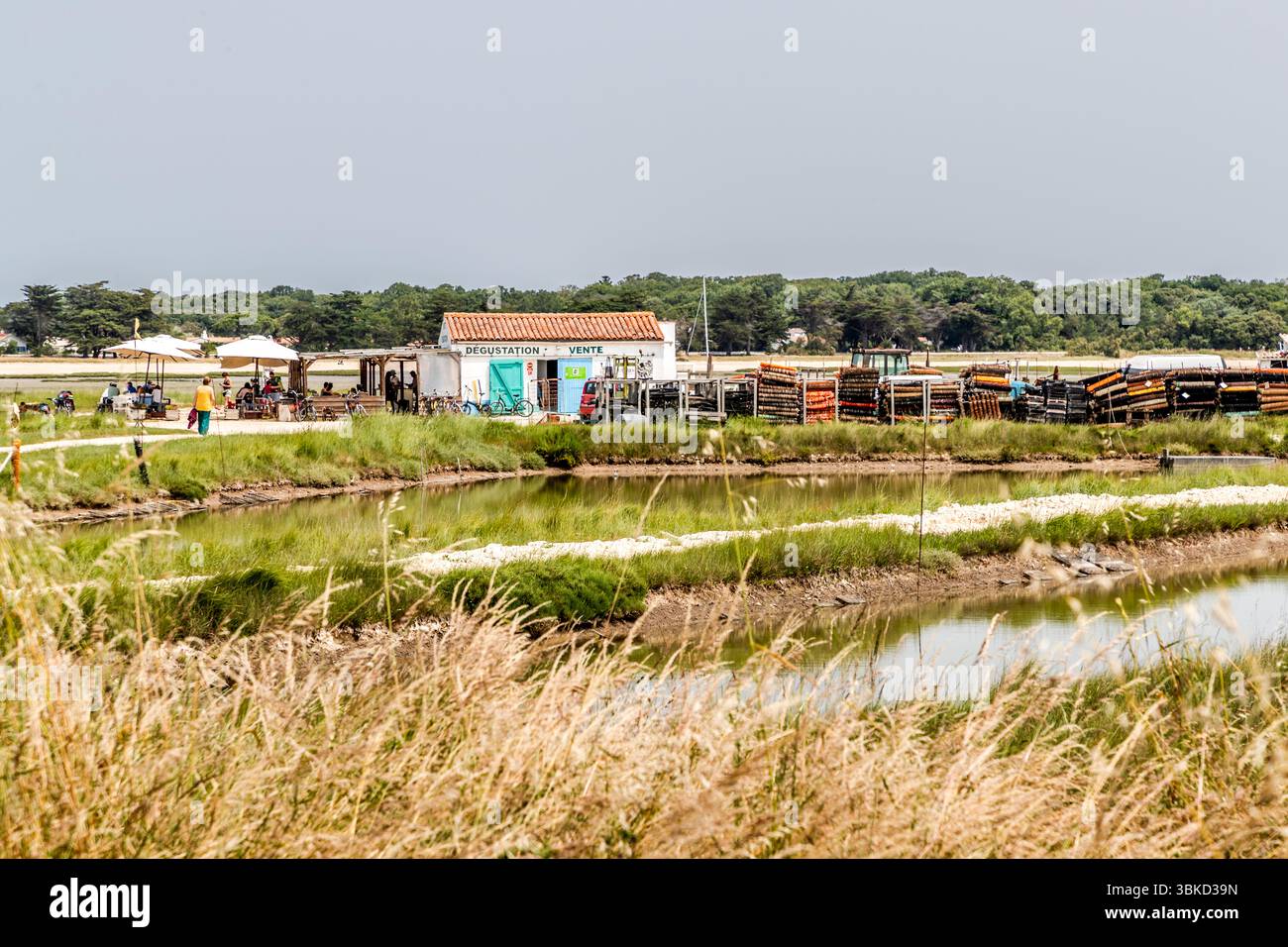 Chez Franck restaurant and beach bar on the island of Aix, Charente-Maritime. Place de Verdun, Île-d'Aix, Nouvelle-Aquitaine, France Stock Photo