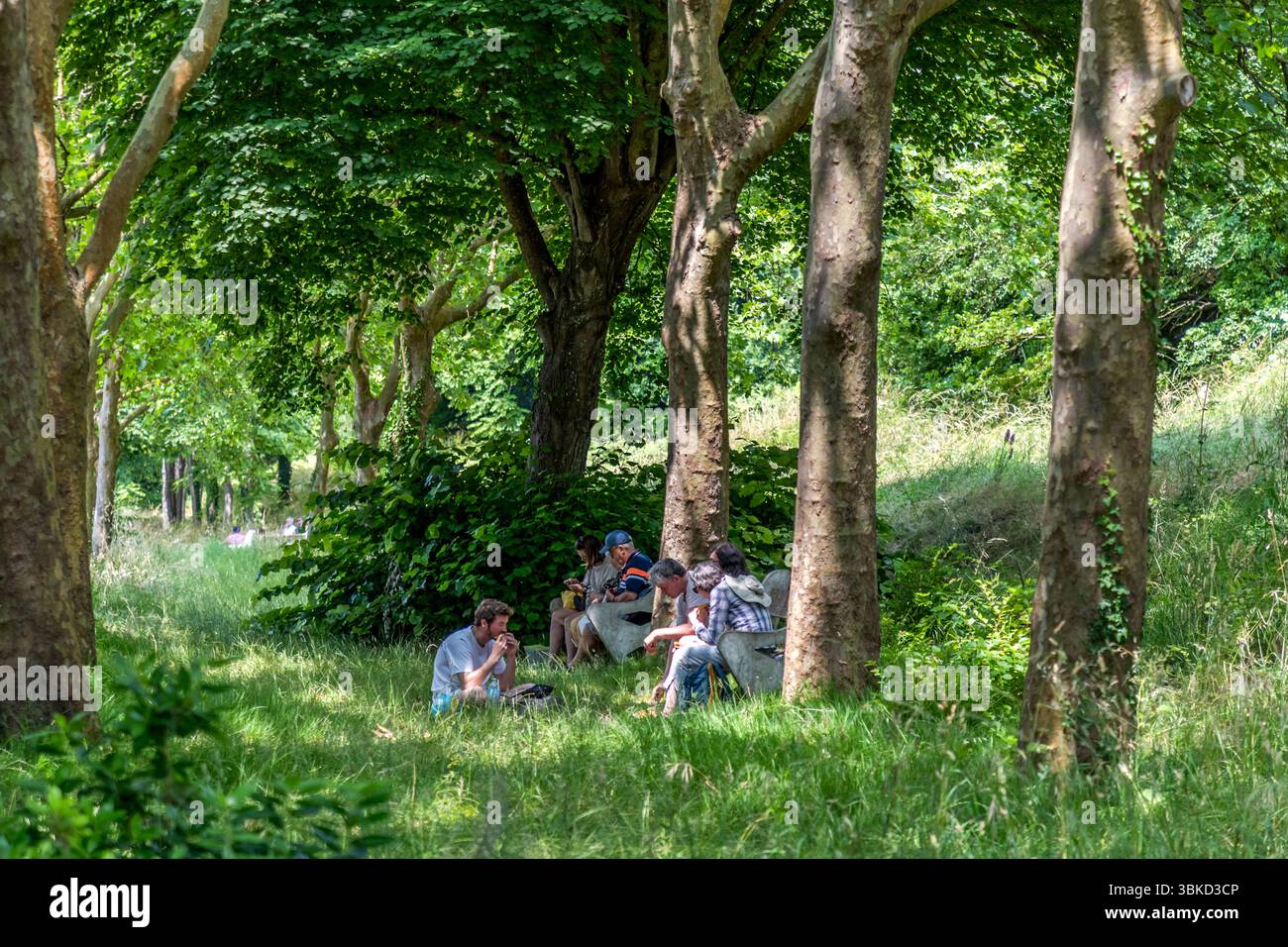 The small island of Aix attracts up to 5,000 day trippers during the summer months. Here, you can enjoy a picnic in the shade of the trees in the only village, Le Bourg. Place de Verdun, Île-d'Aix, Nouvelle-Aquitaine, France Stock Photo