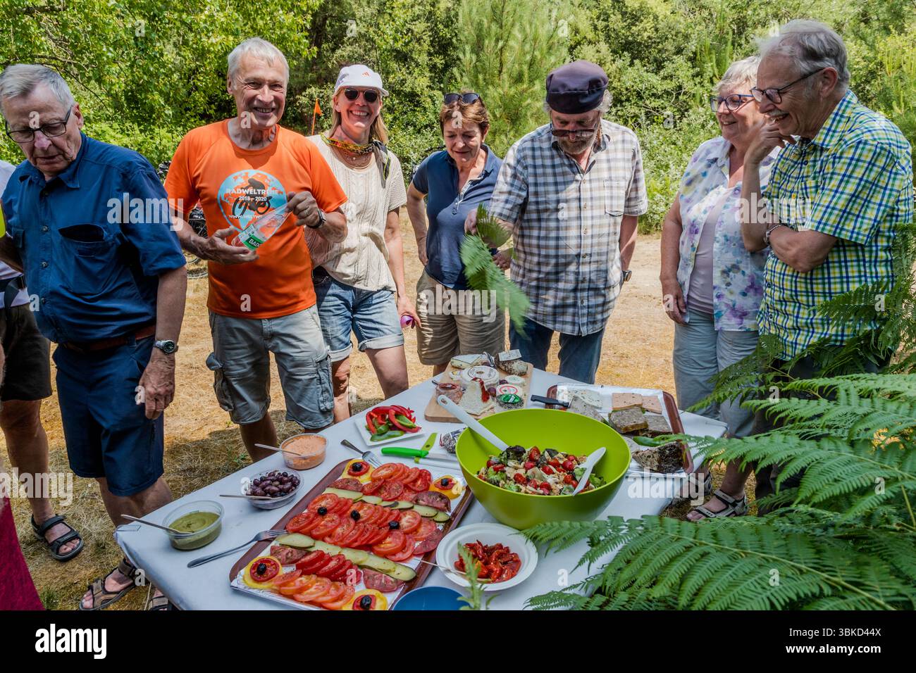 Participants in the guided cycling tour by Die Landpartie gather around a picnic table full of local delicacies on Chemin de la Pierre Qui Viré in Le Bois-Plage-en-Ré on the island of Ré (Île de Ré), Charente-Maritime, Nouvelle-Aquitaine, France. Lunchtime is picnic time. The participants are delighted when, halfway through the day's stage, they find the table laid. Platters of sliced tomatoes and cucumber, a large green bowl of salad, olives, dips, bread, cheese and pâté stand on the white tablecloth. Journalist Angela Berg, in a white cap and sunglasses, laughs with the group. A man in an or Stock Photo