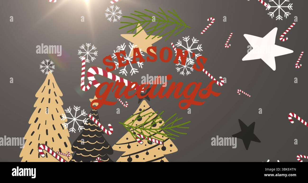 Showing red Seasons greetings text in holiday background with three Christmas trees, pine branches Stock Photo
