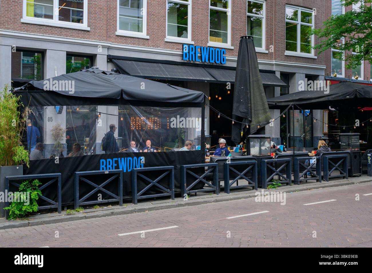 the-brewdog-craft-beer-bar-on-witte-de-withstraat-rotterdam