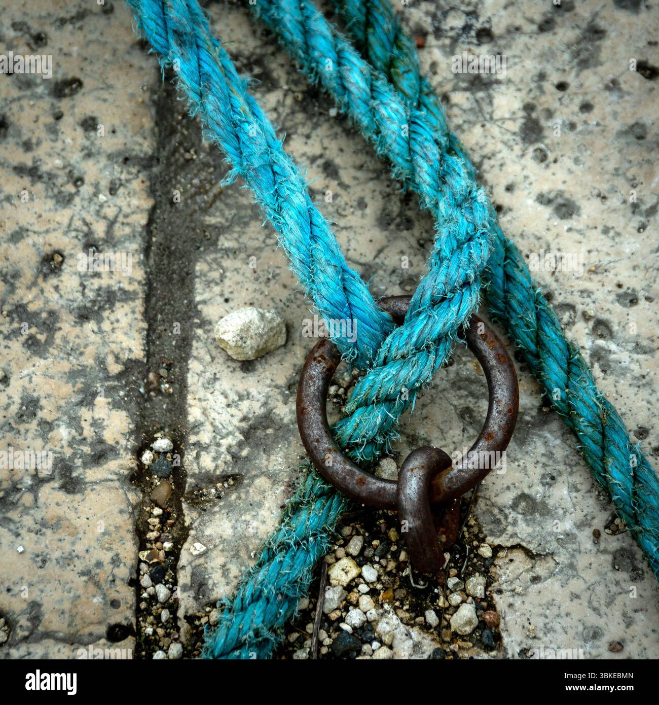 Close up view reveals vibrant hi-res stock photography and images - Alamy