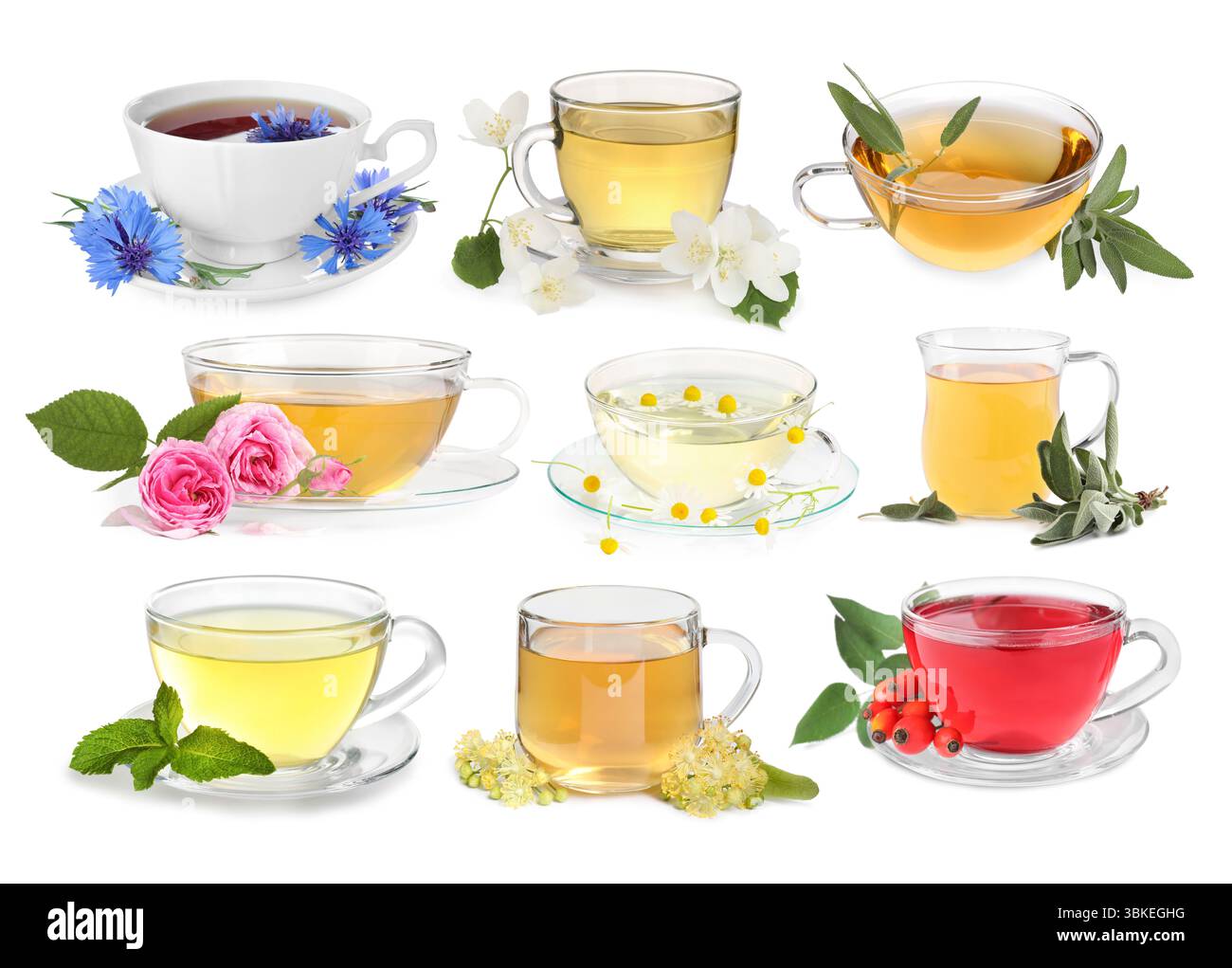 Different types flower in Cut Out Stock Images & Pictures - Alamy