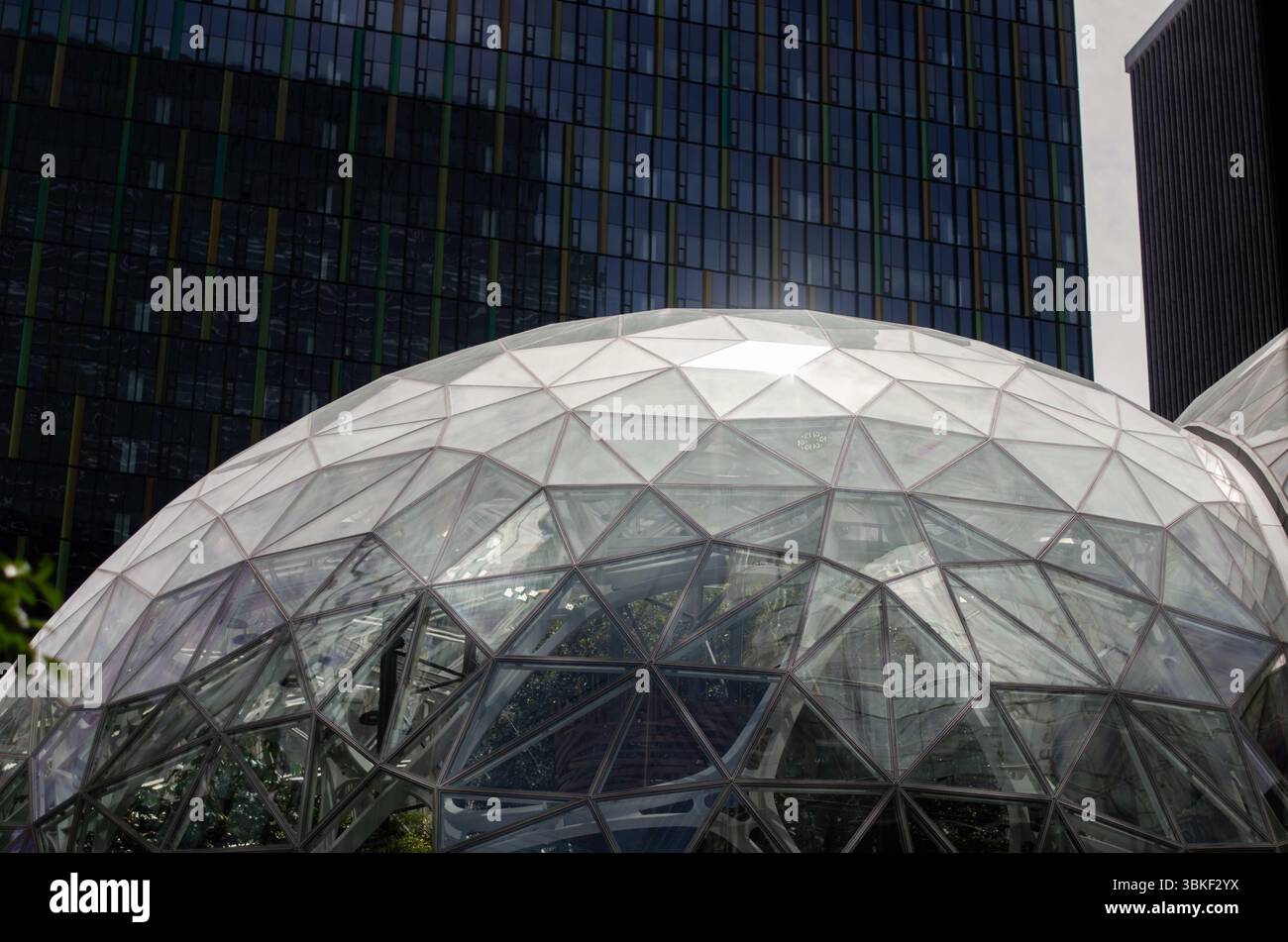 Glass buildings throughout the streets of downtown Seattle Stock Photo