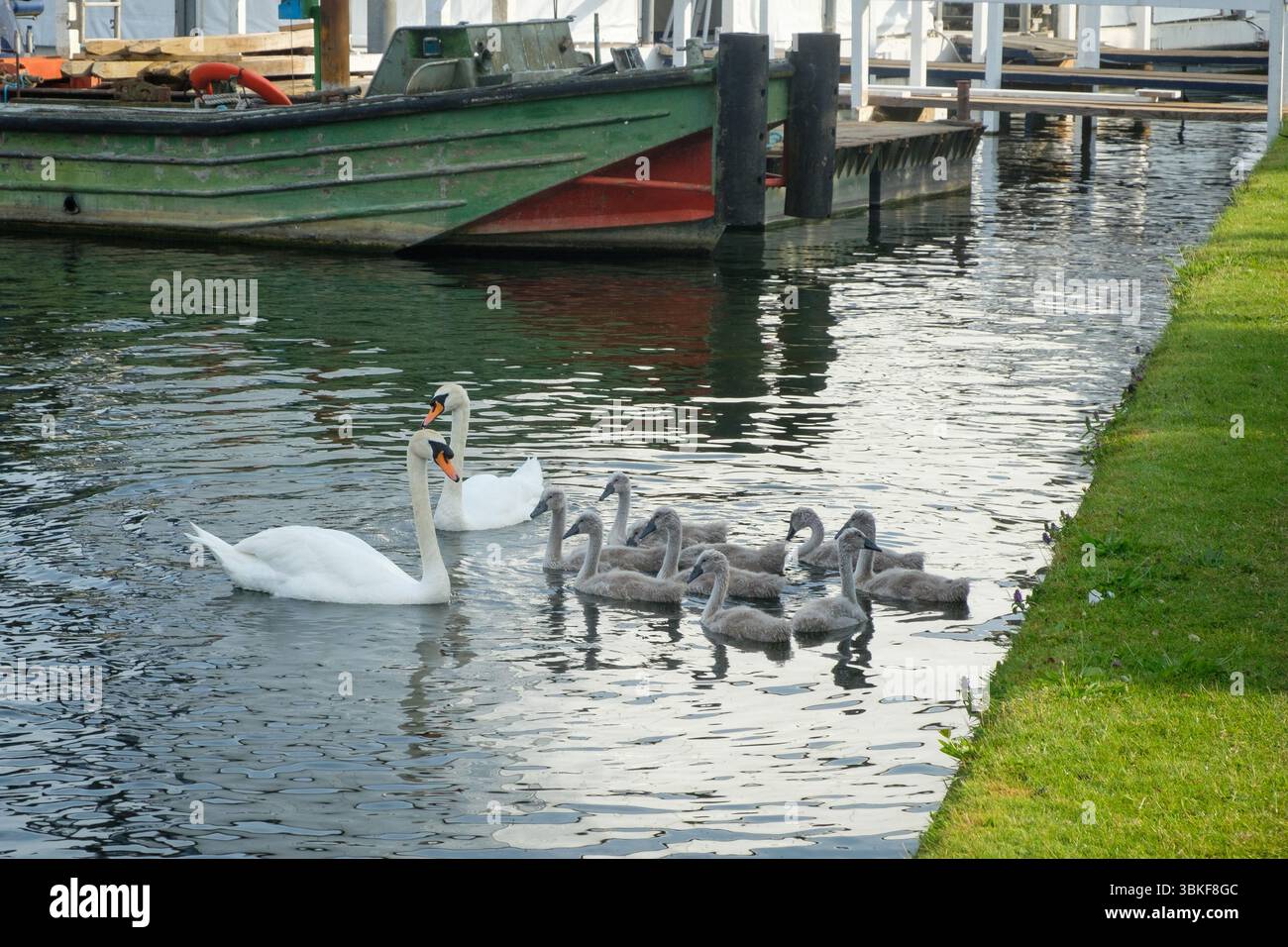The 2025 Henley Women's Regatta held on the River Thames at Henley-on-Thames Stock Photo