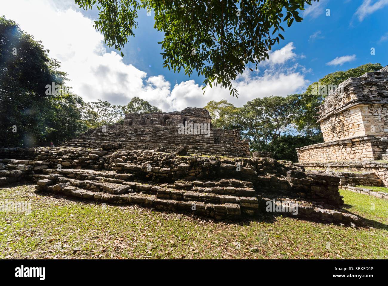 A visit at Yaxchilán Archeological Site, Lacandona Jungle, Chiapas ...
