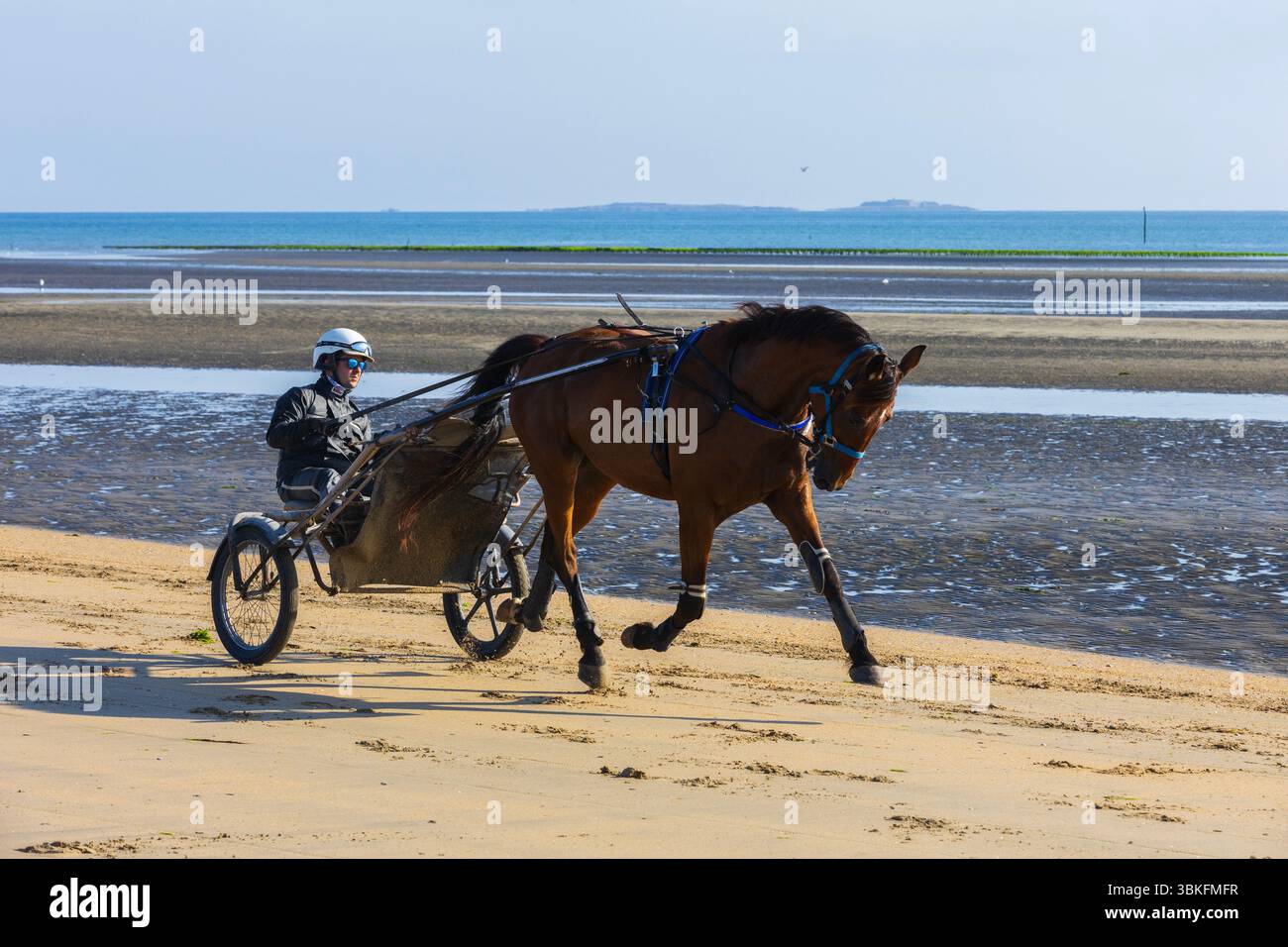 Harness Racing Wheels Wire spoked racing wheels hi-res stock photography and images - Alamy