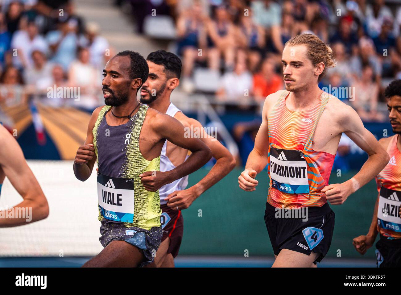 Getnet wale hi-res stock photography and images - Page 2 - Alamy