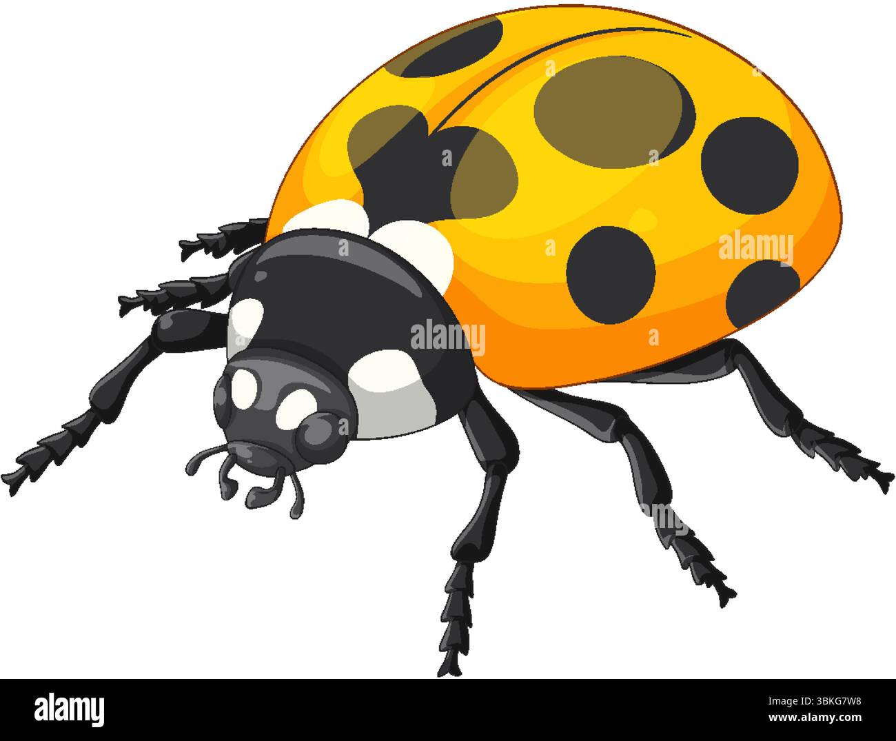 Detailed vector illustration of a ladybug with vivid colors and smooth ...