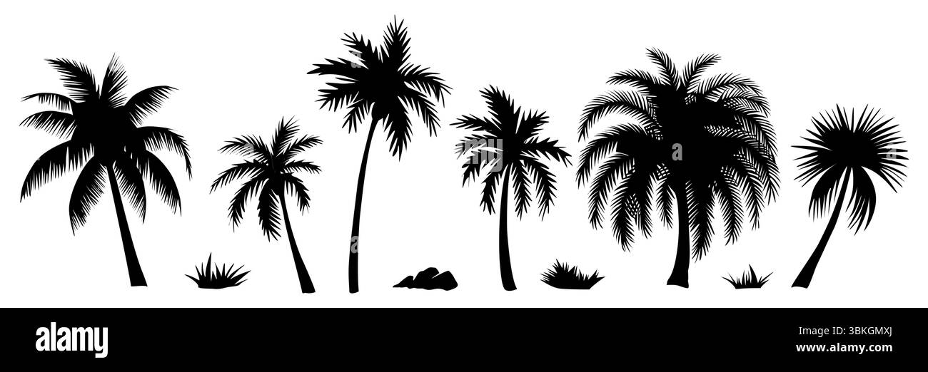 Palm tree black silhouettes set isolated on white Stock Vector Image ...