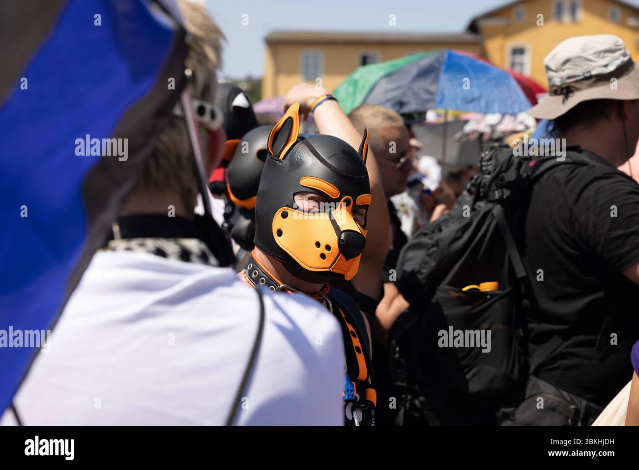 CSD und AFD Kundgebung im Eberswalde Christopher-Street-Day-Parade und ...