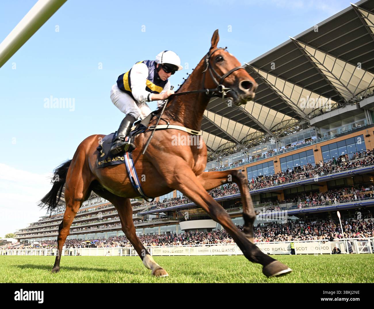 Common Mistakes Bettors Make at Royal Ascot—and How to Avoid Them Common Mistakes Bettors Make at Royal Ascot—and How to Avoid Them