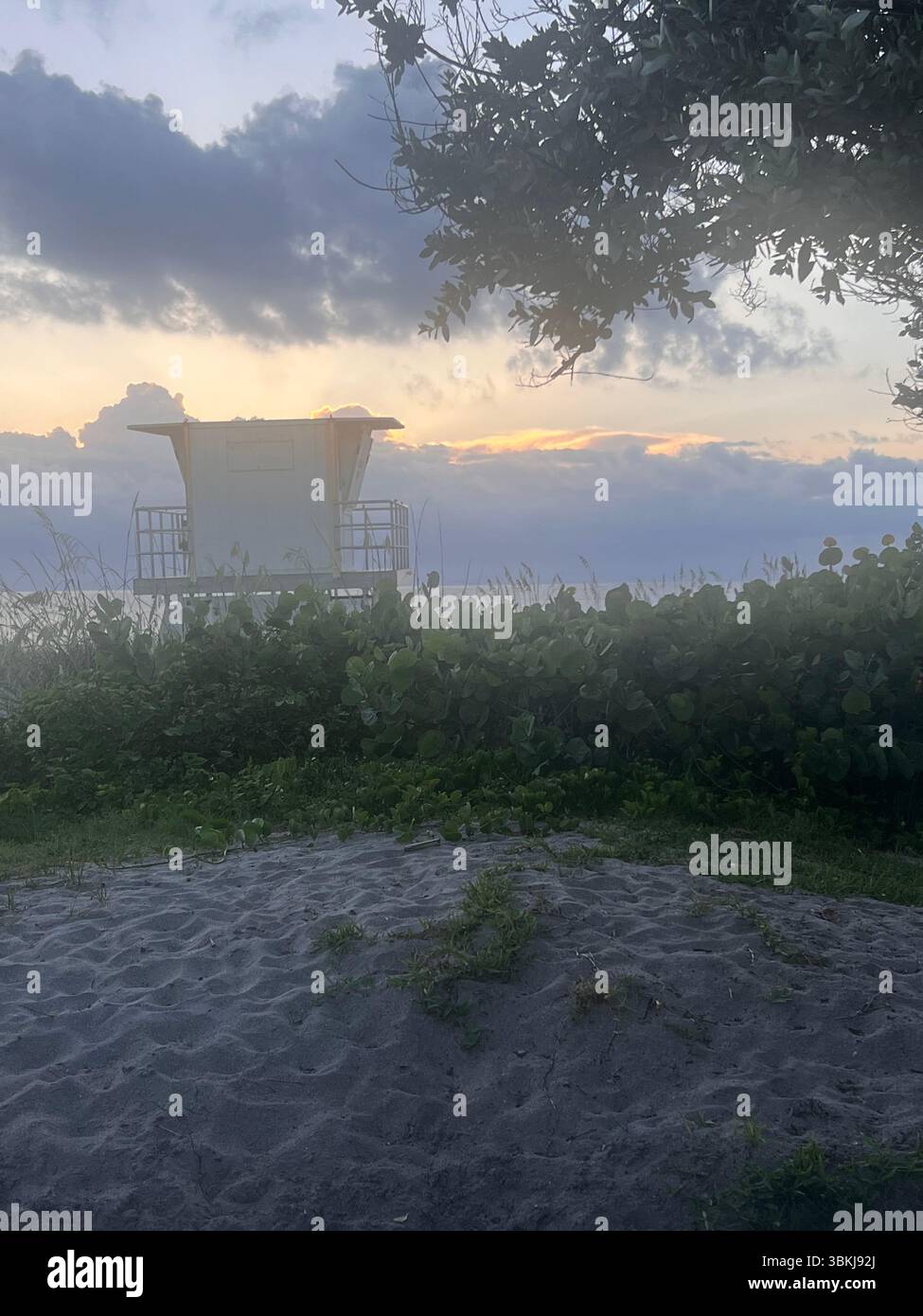 A tranquil beach scene at sunset featuring a lifeguard tower nestled among lush greenery, with the sky painted in soft hues of blue and gold. - Smartphone Captured Stock Image