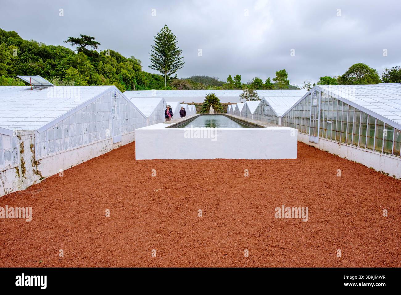 Augusto Arruda pineapple farm plantation greenhouses, Ponta Delgada ...