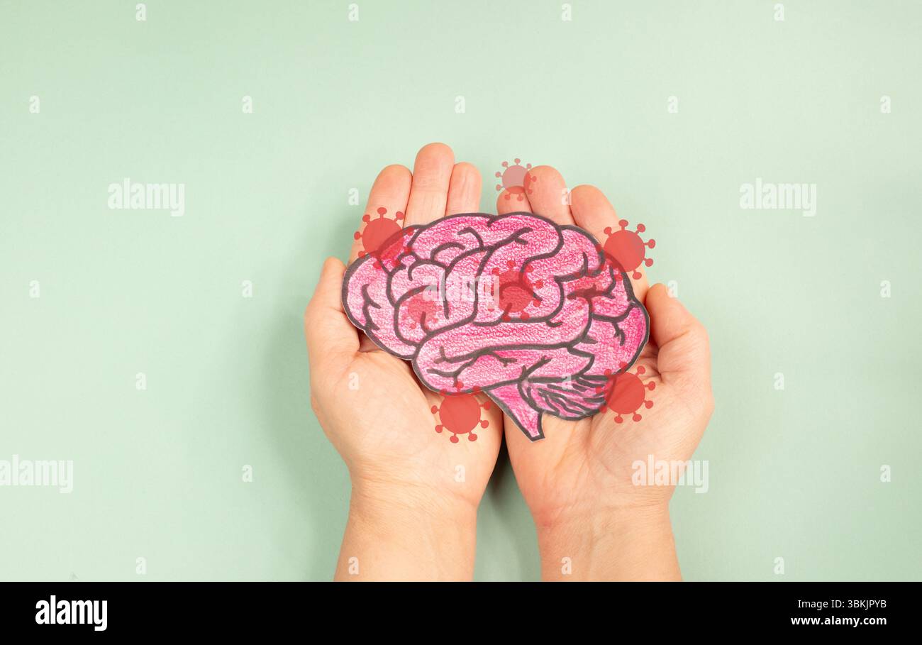 Brain With Borna Disease Virus Infection, Neurological Disease ...