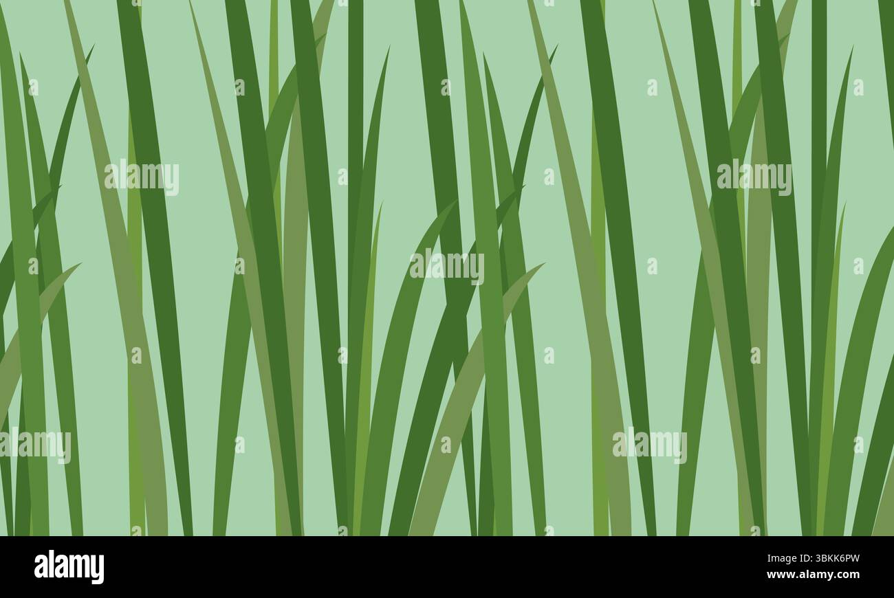 Green Grass Pattern, Natural Botanical background vector illustration. Stock Vector