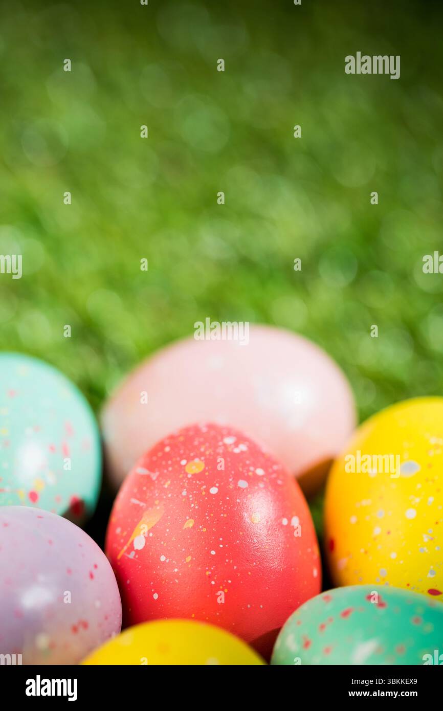Various Easter eggs on grass Stock Photo