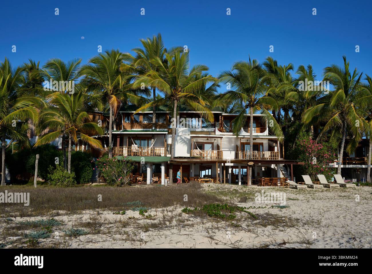 Hotel am Strand Malecon Cuna del Sol, Puerto Villamil, Isla Isabela,  Galapagos, Ecuador Stock Photo - Alamy, image size:1300x956